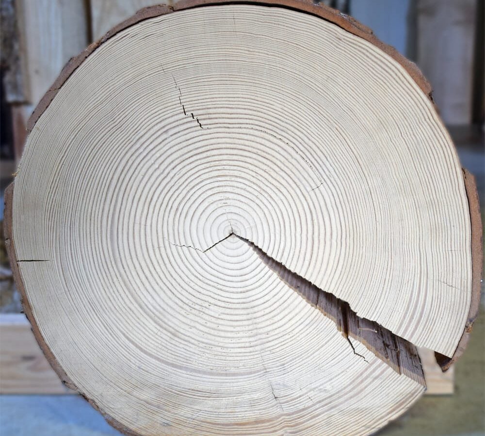 Benessere: il legno può influire sulla qualità della vita?