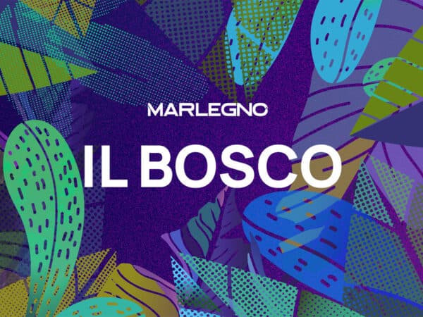 Il Bosco: il nuovo podcast di Marlegno dedicato alla sostenibilità